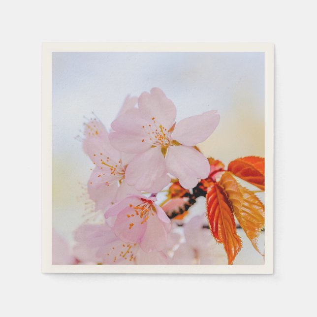 Sakura - Japanese cherry blossom Napkin (Front)
