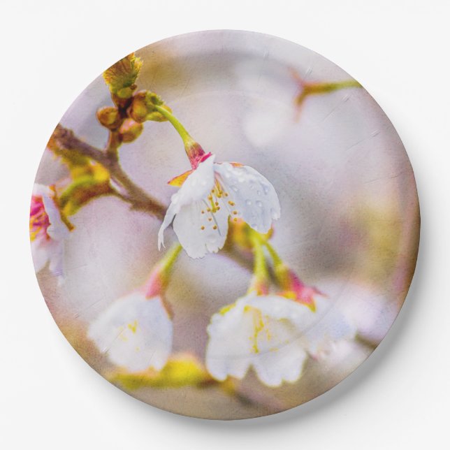 Sakura - Japanese Cherry Blossom Paper Plate (Front)