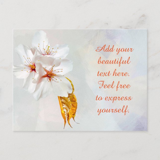 Sakura - Japanese cherry blossom Postcard (Front)