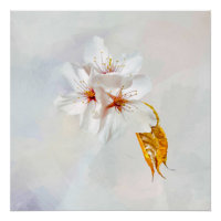 Sakura - Japanese cherry blossom