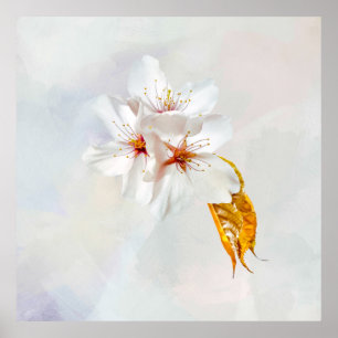 Sakura - Japanese cherry blossom Poster