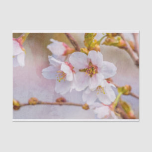 Sakura - Japanese Cherry Blossom Tissue Paper