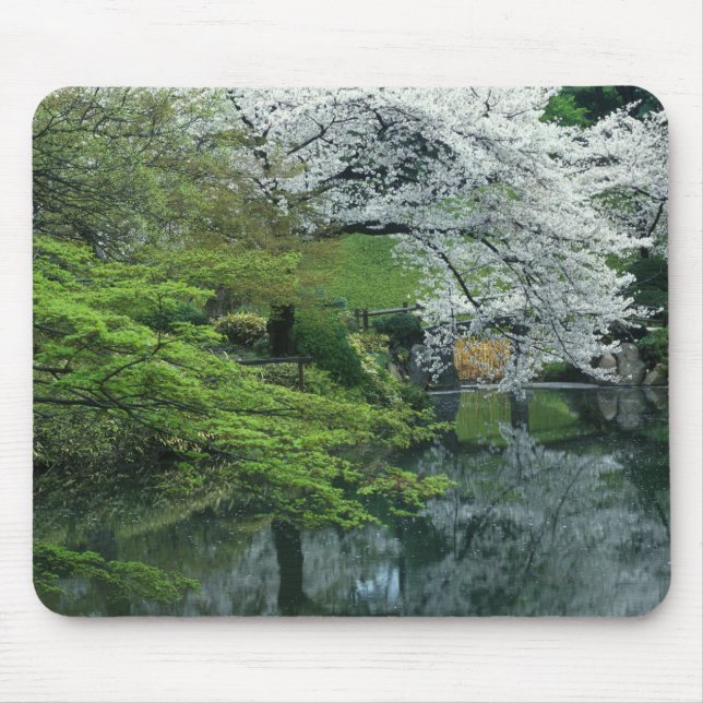 Sakura, Koishikawa Koraku-en Garden, Tokyo, Mouse Mat (Front)