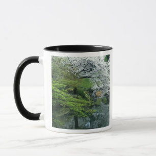 Sakura, Koishikawa Koraku-en Garden, Tokyo, Mug
