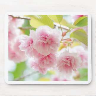 sakura mouse mat