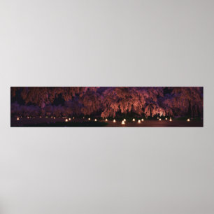 Sakura (Night) Panorama Poster