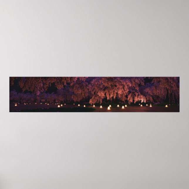 Sakura (Night) Panorama Poster (Front)