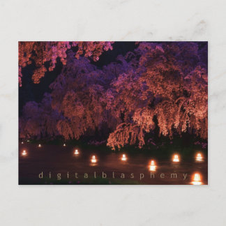 Sakura (Night) Postcard