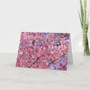 Sakura Pink Cherry Blossom  Mother's Day Card