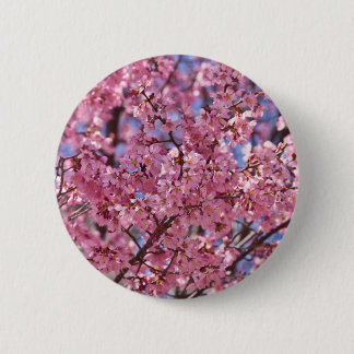 Sakura Pink Cherry Blossom Sky 6 Cm Round Badge