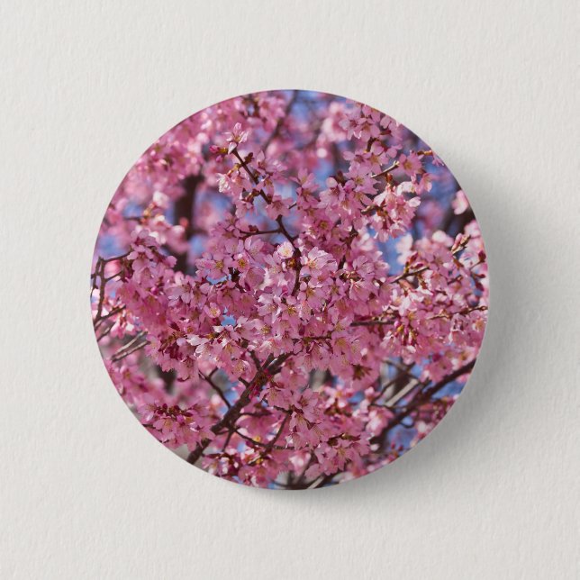 Sakura Pink Cherry Blossom Sky 6 Cm Round Badge (Front)