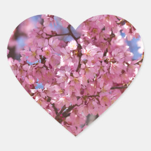 Sakura Pink Cherry Blossom Sky Heart Sticker