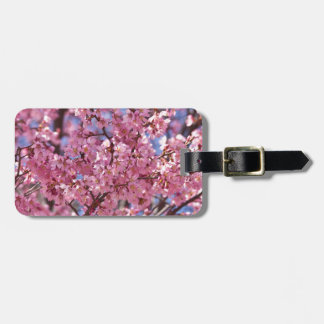 Sakura Pink Cherry Blossom Sky Luggage Tag