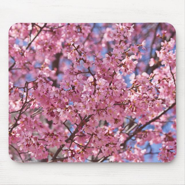 Sakura Pink Cherry Blossom Sky Mouse Mat (Front)