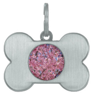 Sakura Pink Cherry Blossom Sky Pet Tag