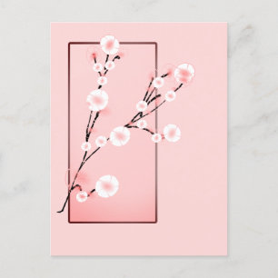 Sakura  postcard