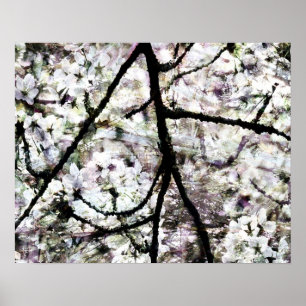Sakura Poster