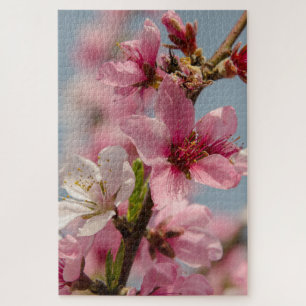 Sakura Splendour: Pink Japanese Flower Photography Jigsaw Puzzle