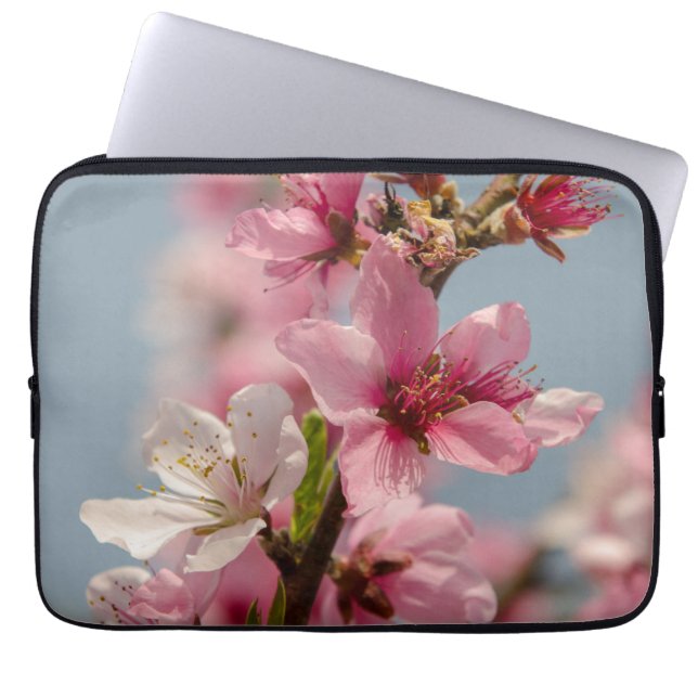 Sakura Splendour: Pink Japanese Flower Photography Laptop Sleeve (Front)