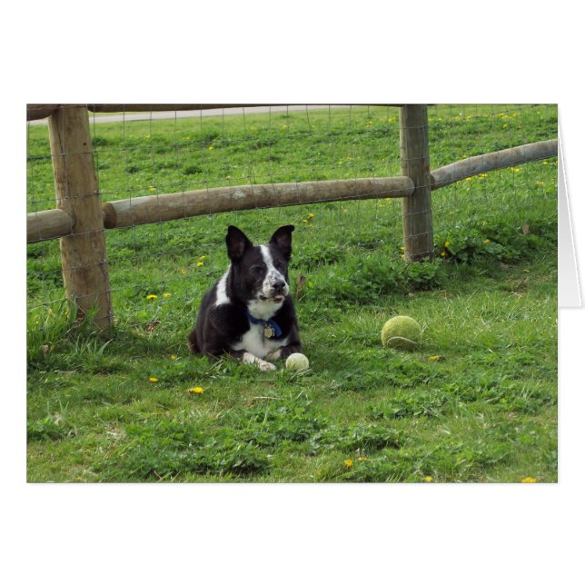 Sal_portrait2 (Front Horizontal)