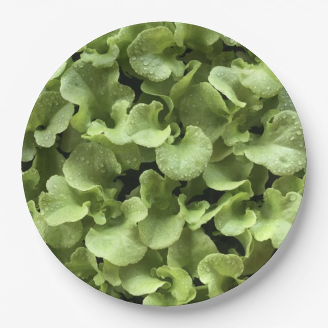 Salad  leaves for Gardener nature food lover.party Paper Plate (Front)