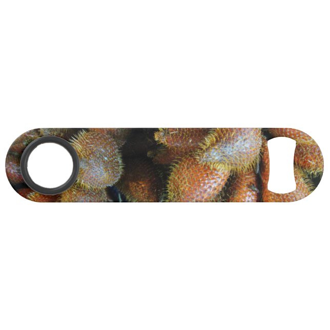 Salak [Snake Fruit] (Front (Horizontal))