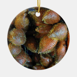 Salak [Snake Fruit] Ceramic Tree Decoration