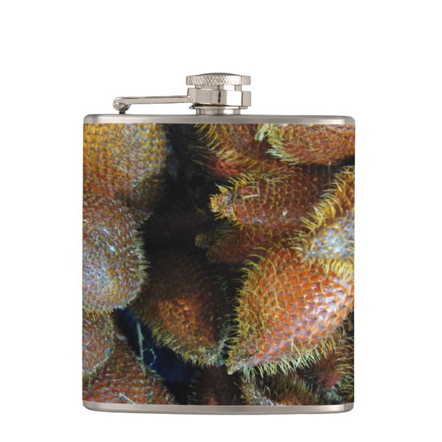Salak [Snake Fruit] Hip Flask (Front)