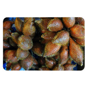 Salak [Snake Fruit] Magnet