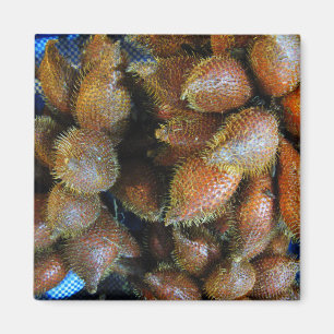 Salak [Snake Fruit] Magnet