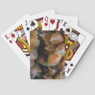 Salak [Snake Fruit] Playing Cards