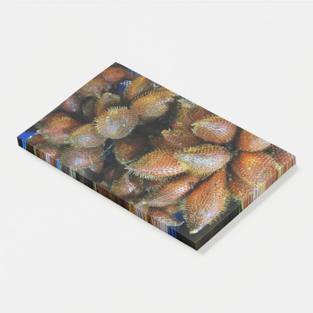 Salak [Snake Fruit] Post-it Notes (Angled)