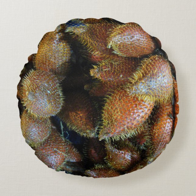 Salak [Snake Fruit] Round Cushion (Front)