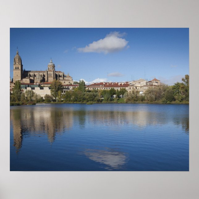 Salamanca Cathedrals and town Poster (Front)