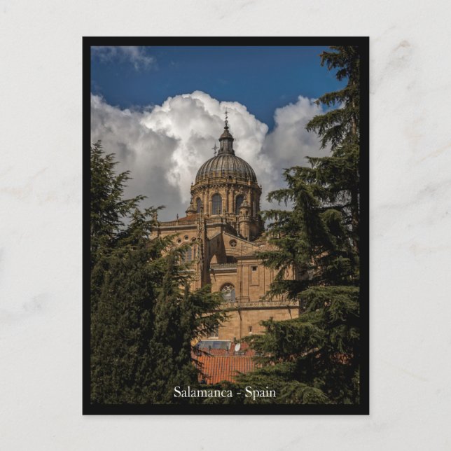 Salamanca City, Spain Postcard (Front)