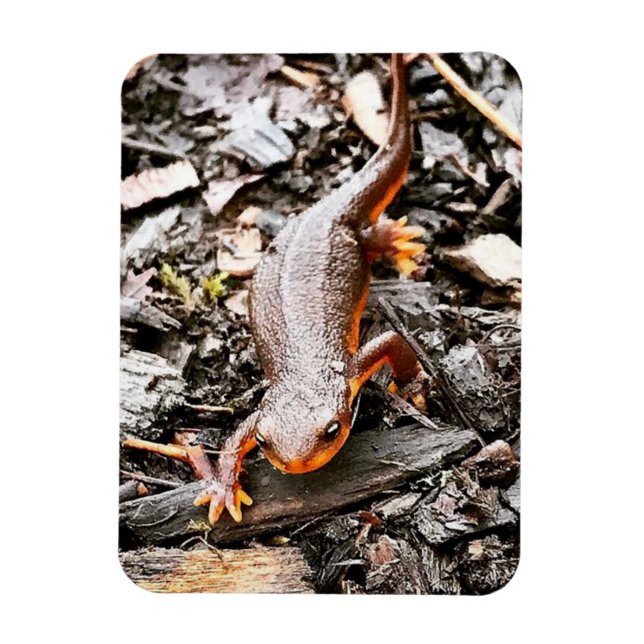 Salamander in the Forest Magnet (Vertical)