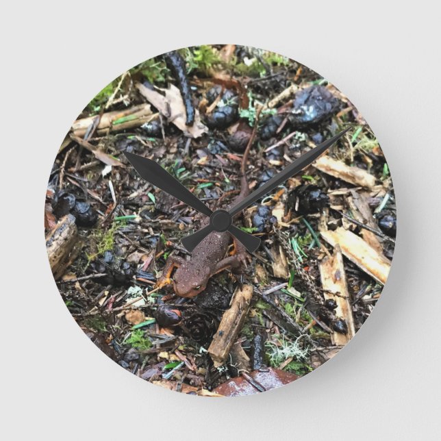 Salamander in the Forest, Washington Round Clock (Front)