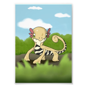 Salamandra Photo Print