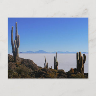 Salar de Uyuni, Bolivia Postcard