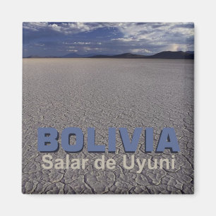 Salar de Uyuni Bolivia Travel Souvenir Magnet