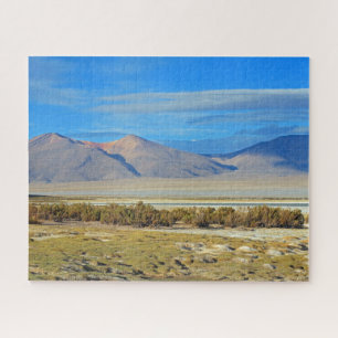 Salar del Huasco, 520-pc Jigsaw Puzzle