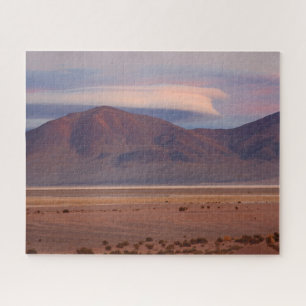 Salar del Huasco, Chile 520-pc Jigsaw Puzzle
