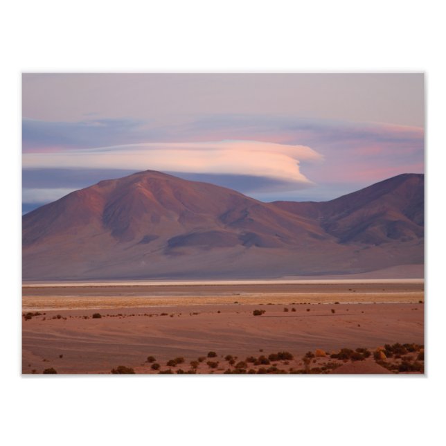 Salar del Huasco, Chile Photo Print (Front)