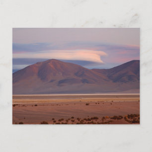 Salar del Huasco, Chile Postcard