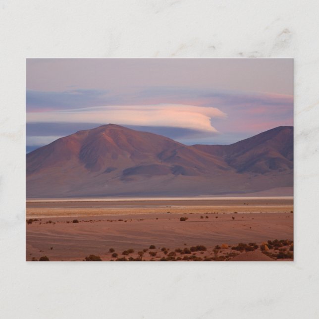 Salar del Huasco, Chile Postcard (Front)