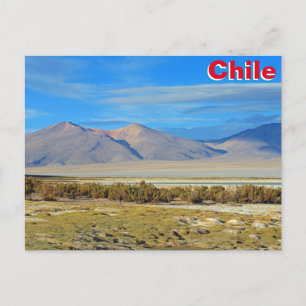 Salar del Huasco, Chile Postcard