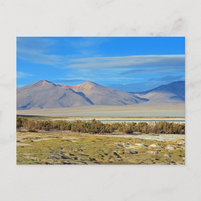 Salar del Huasco, Chile Postcard (Front)