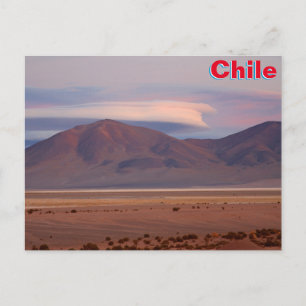 Salar del Huasco, Chile Postcard