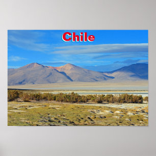 Salar del Huasco, Chile Poster