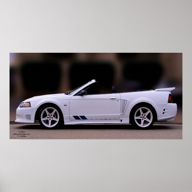 SALEEN MUSTANG POSTER (Front)